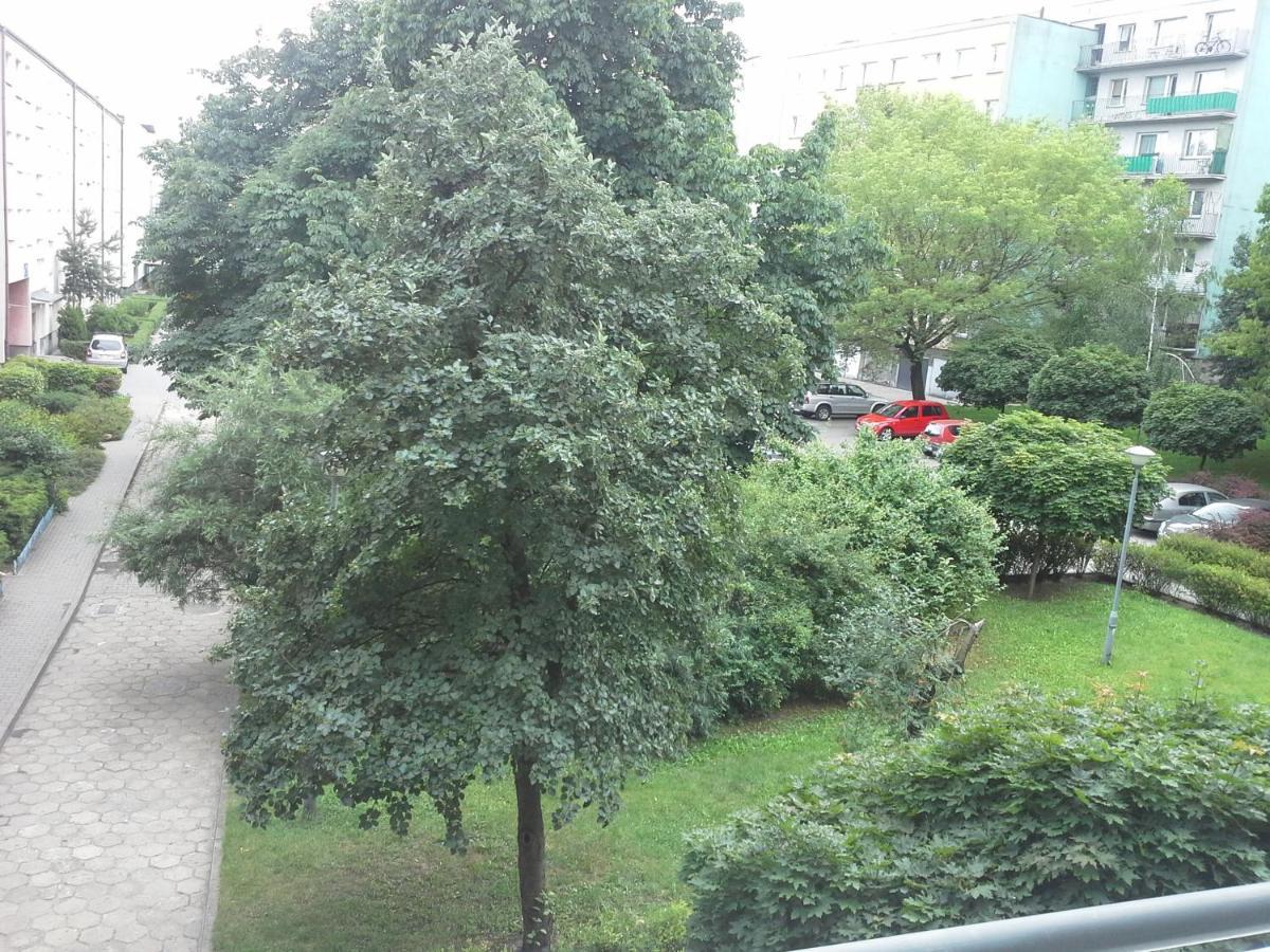 3030 Jana Spychalskiego 32 - Tanie Pokoje W Apartamencie - Samodzielne Zameldowanie - Self Check In Poznań Esterno foto